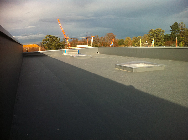 All the Ways A Flat Roof Can Improve Your Commercial Property