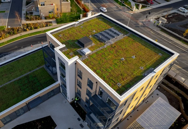 The Benefits of a Green Roof