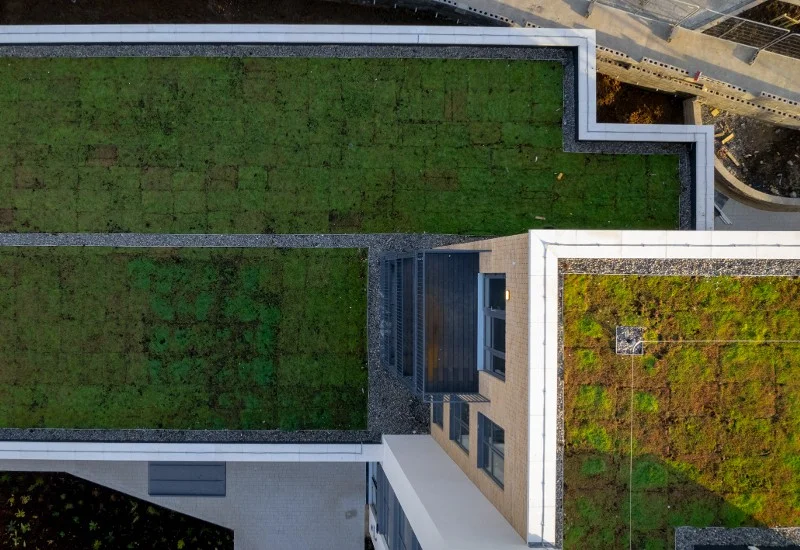 Sustainable Roof Care: Green Roof Maintenance Services